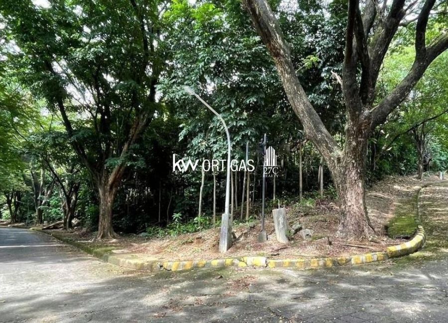 Balimbing Street, Town & Country Executive Village, Mayamot, Antipolo, Rizal image 2