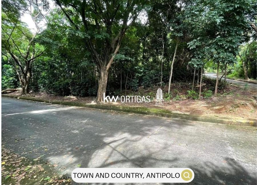 Balimbing Street, Town & Country Executive Village, Mayamot, Antipolo, Rizal