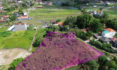 Jual tanah cemagi canggu mengwi lt 3270 m2