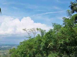 Di sewakan tanah area Pasuruan