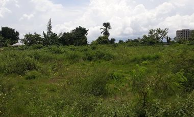 2.1 hectares LOT along the road, residential and has fenced in Mactan.