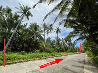 Borongan Airport Ideal Commercial Lot