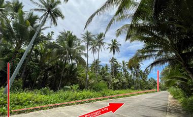 Borongan Airport Ideal Commercial Lot