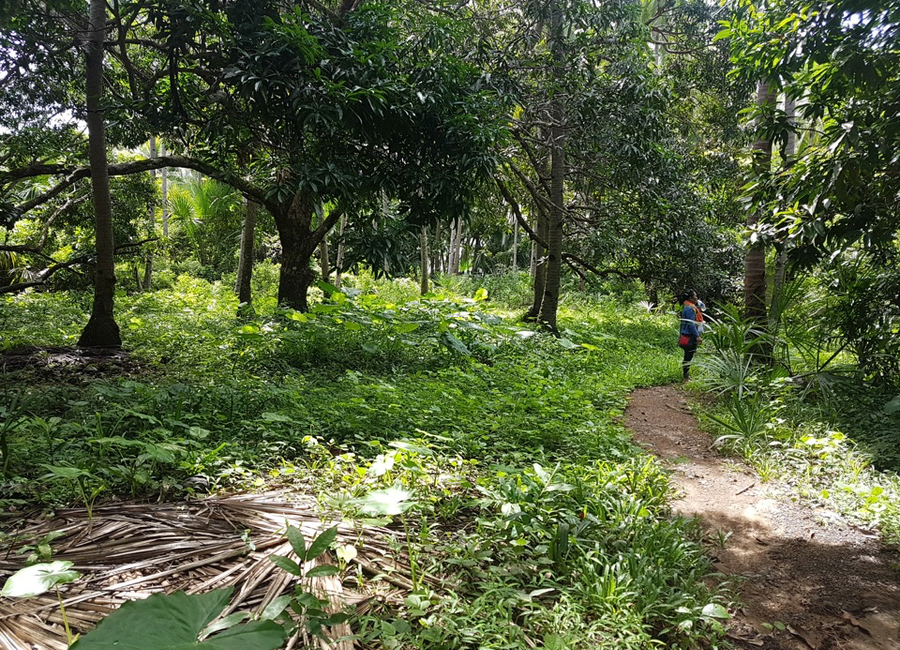 place photo 3