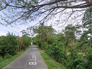 8,477 sqm. Farm Land for sale in Tanauan, Batangas