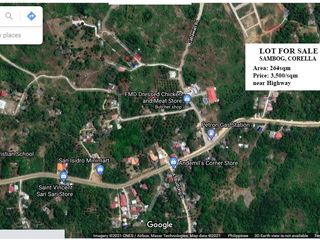 Lot for Sale in Sambog Corella Bohol near High way