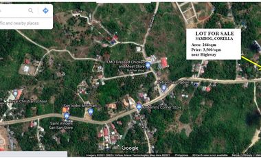 Lot for Sale in Sambog Corella Bohol near High way