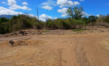 Lot for Sale in Dauin, Negros Oriental