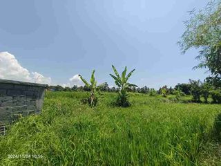 Pink Zone Land for Leasehold In Tebongkang Ubud