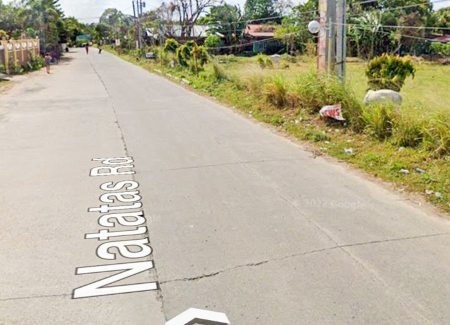 place photo 23