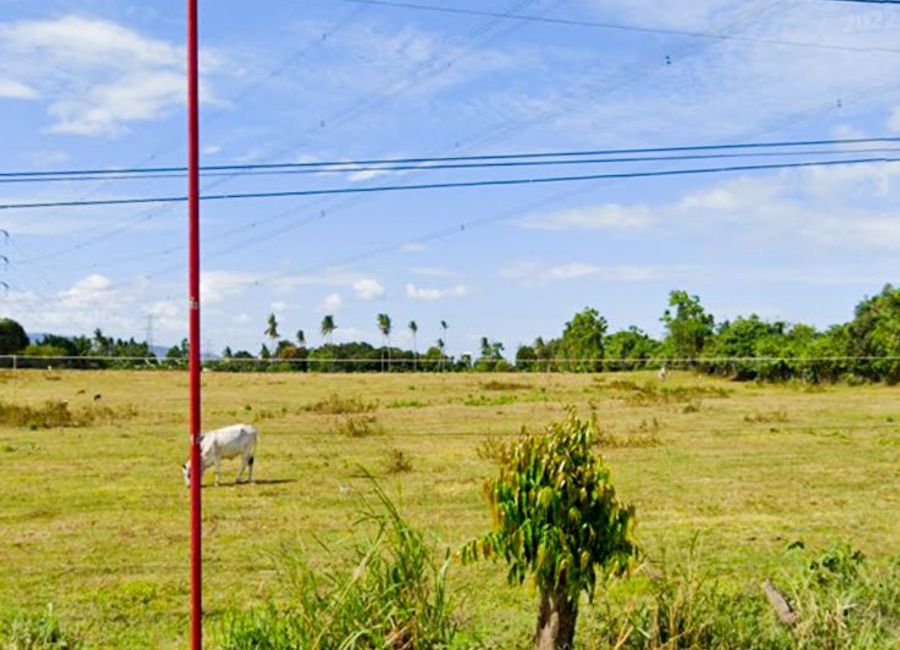 place photo 22
