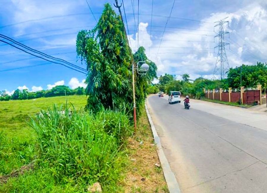 Mabini Avenue, Barangay 5, Tanauan, Batangas image 3
