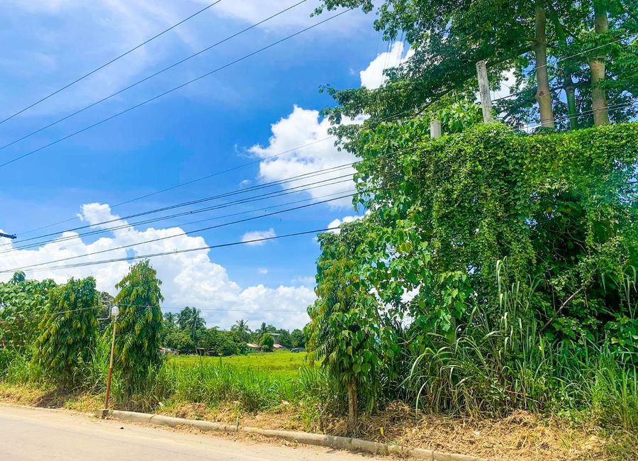 Mabini Avenue, Barangay 5, Tanauan, Batangas image 2