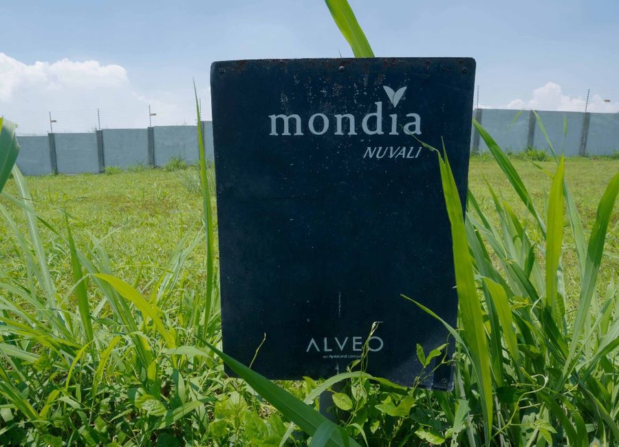 Mondia, Canlubang, Calamba, Laguna