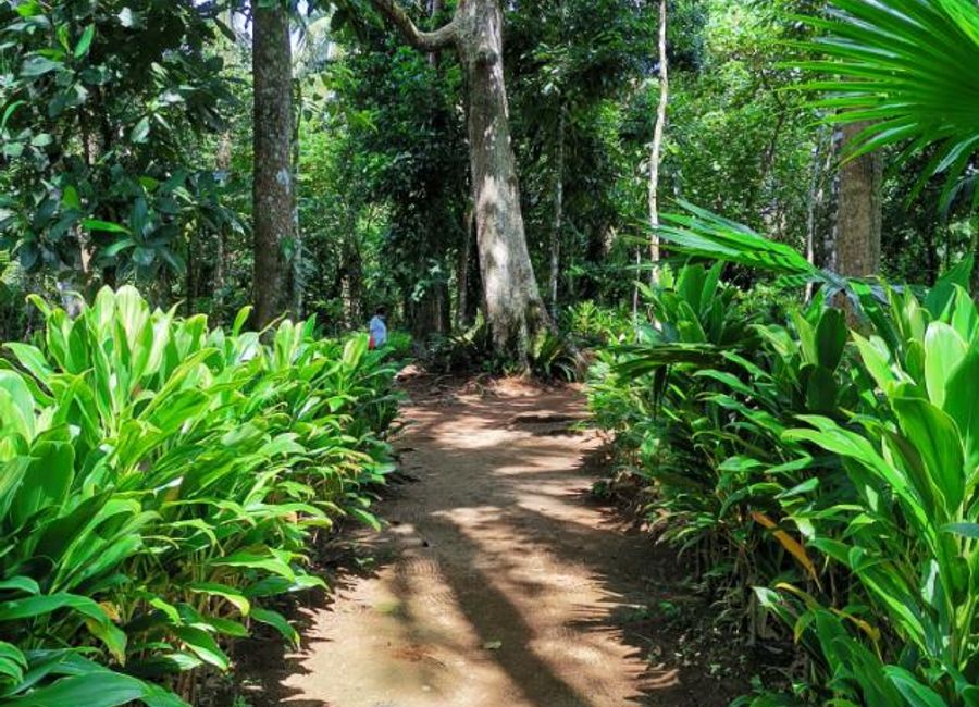 General Nakar-Dingalan Road, San Marcelino, General Nakar, Quezon image 2