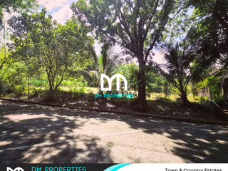 For Sale: Vacant Lot in Town and Country Estates, Antipolo City