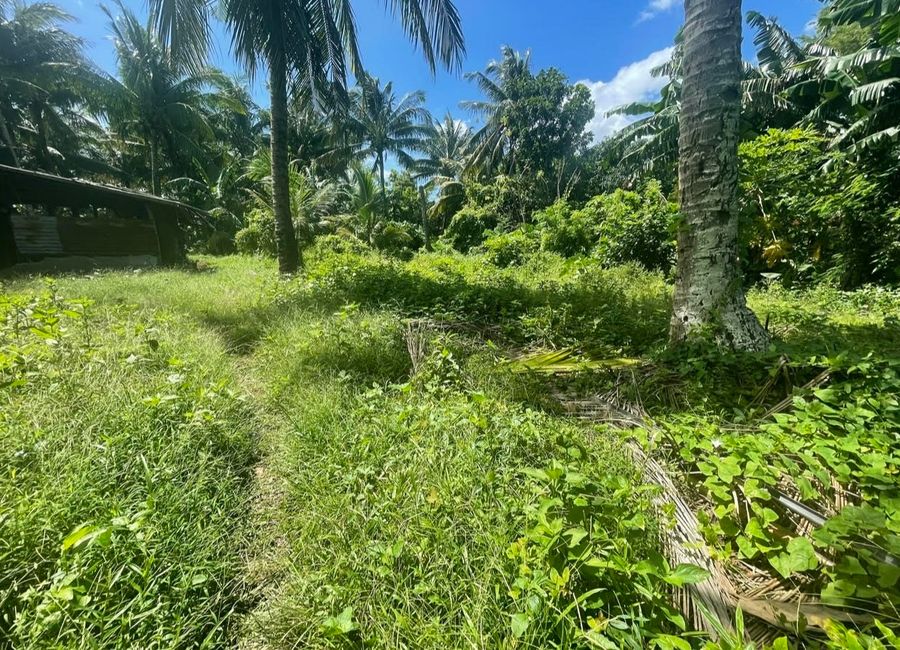 Tumbaga 2, Sariaya, 2nd District, Quezon image 2