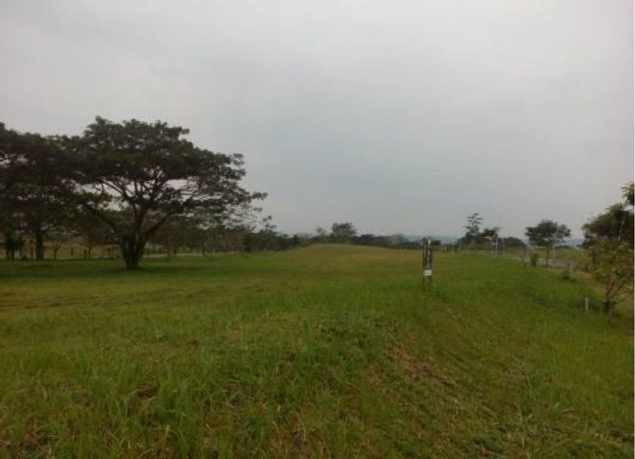 Elaro Nuvali, Canlubang, Calamba, Laguna image 2