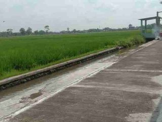 tanah selatan kampus uin