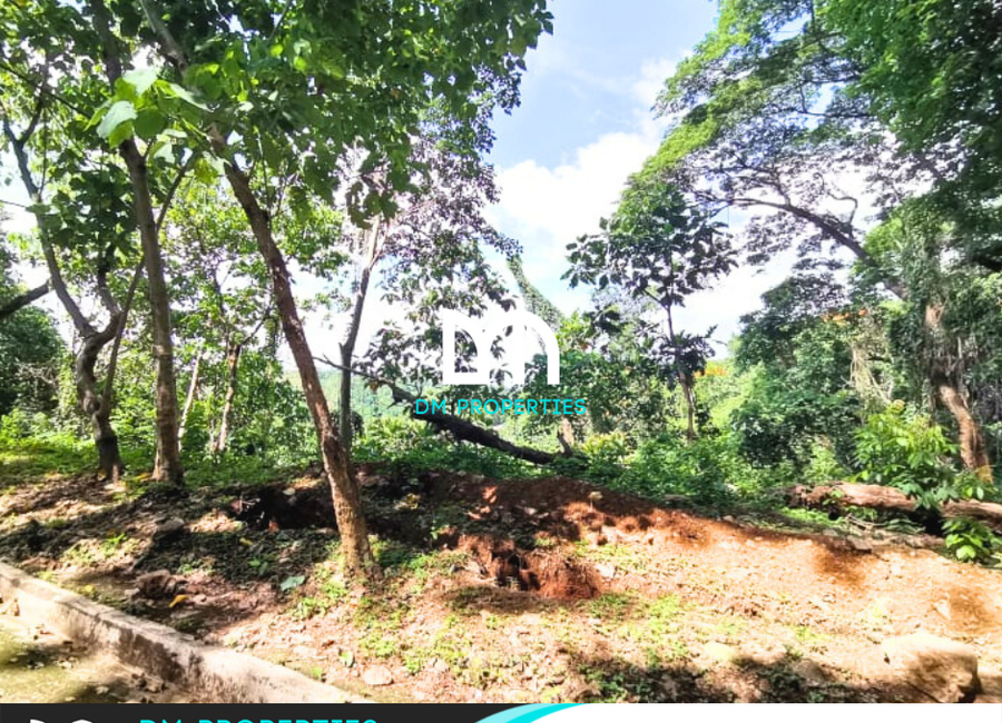 Kingsway, Town & Country Estates, Mambugan, Antipolo, Rizal