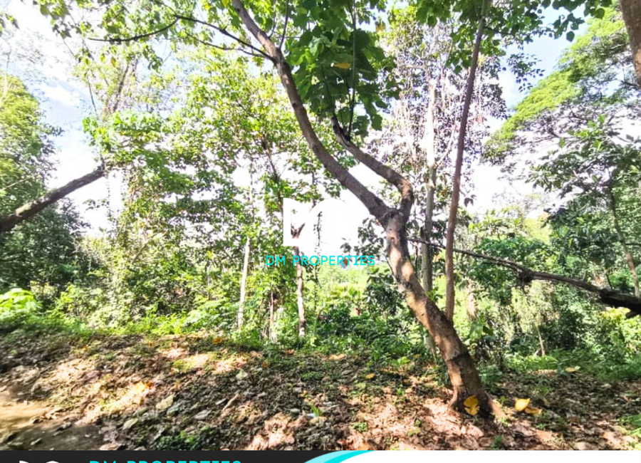 Kingsway, Town & Country Estates, Mambugan, Antipolo, Rizal image 3