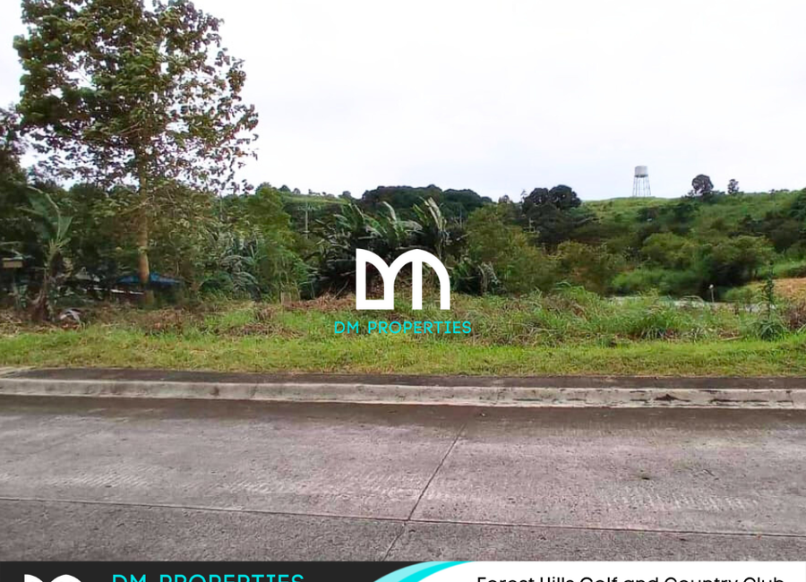 Forest Hills Avenue, Inarawan, Antipolo, Rizal