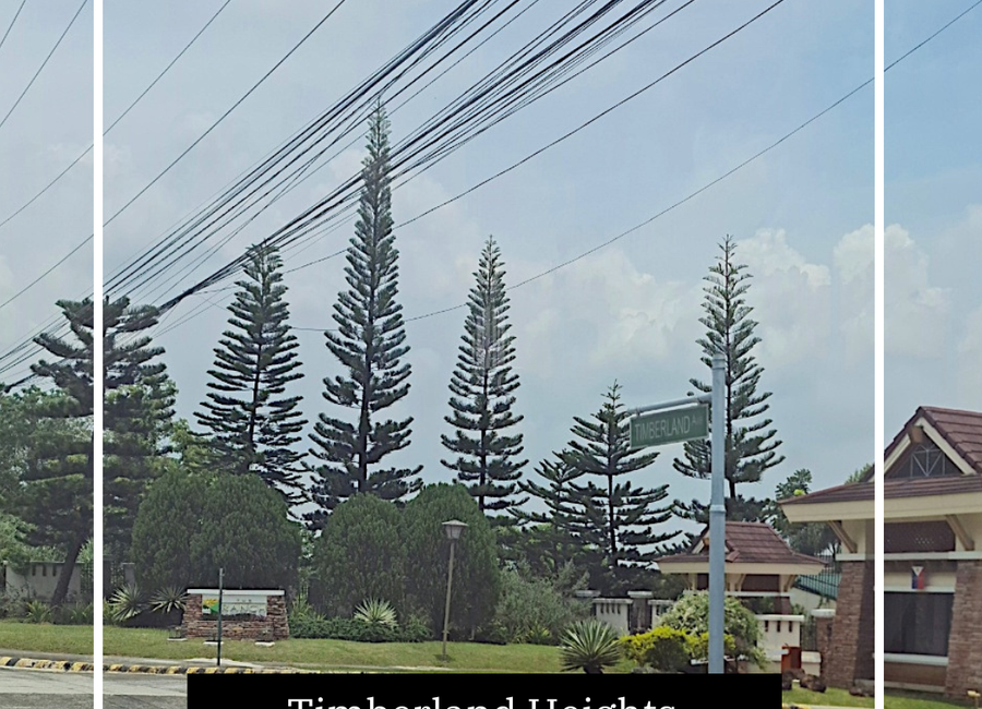 Thyme Street, Mandala South, Timberland Heights, San Mateo, Rizal