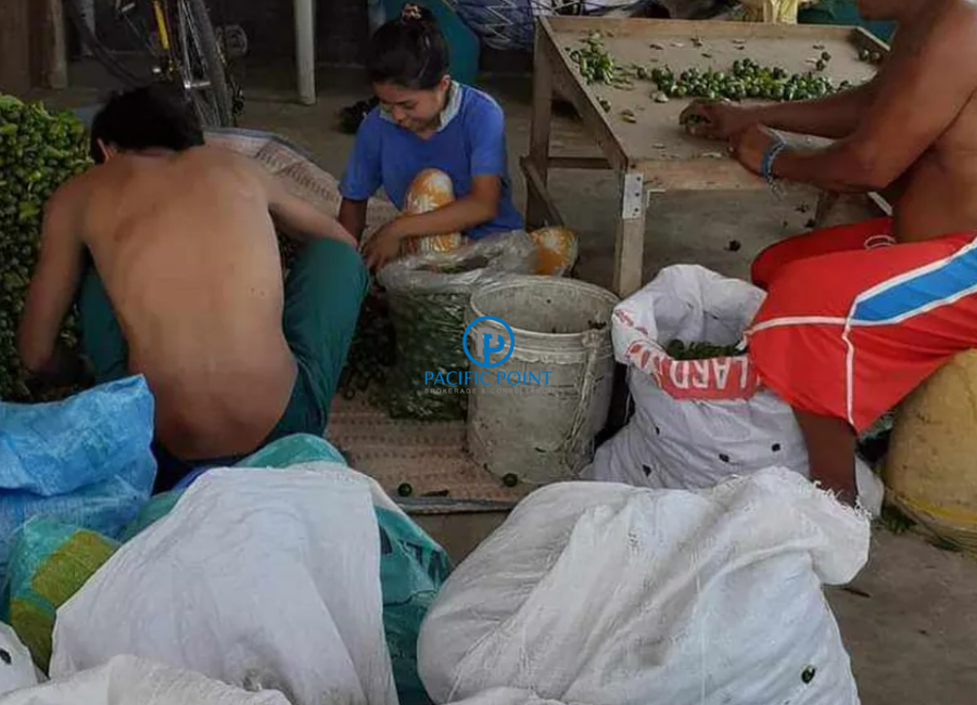 Poblacion, Sinturisan, San Antonio, 2nd District, Quezon image 3
