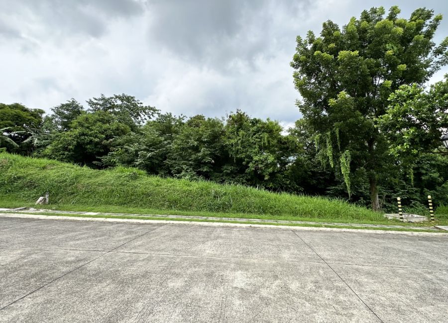 Spine Road, Ayala Greenfield Estates, Maunong, Calamba, Laguna