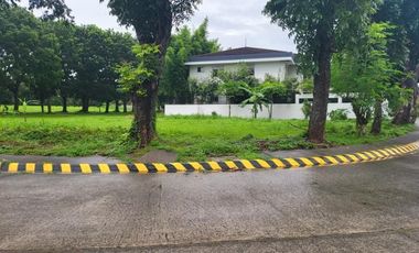 Approve 506 Sqm Corner Lot For Sale In Manila Southwoods Phase 4