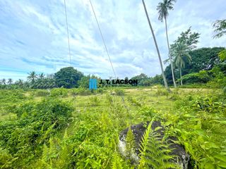 Subdivided Lots for Sale in Bacong, Negros Oriental