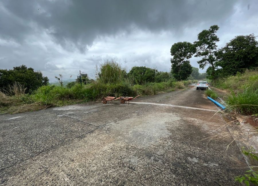 Forest Hills Avenue, Lower Tulakin, Bagong Nayon, Antipolo, Rizal