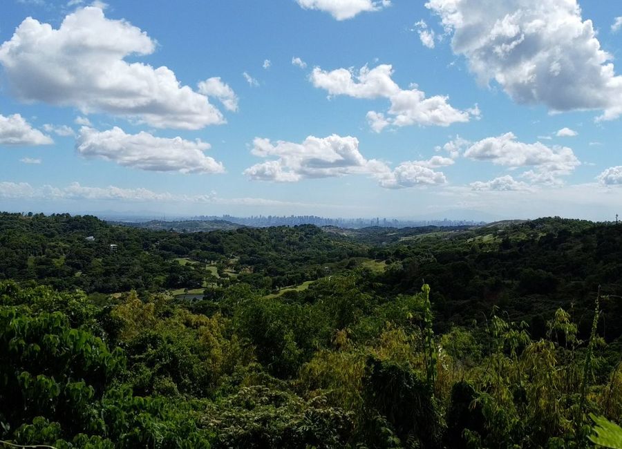 Forest Hills Avenue, Lower Tulakin, Bagong Nayon, Antipolo, Rizal image 2