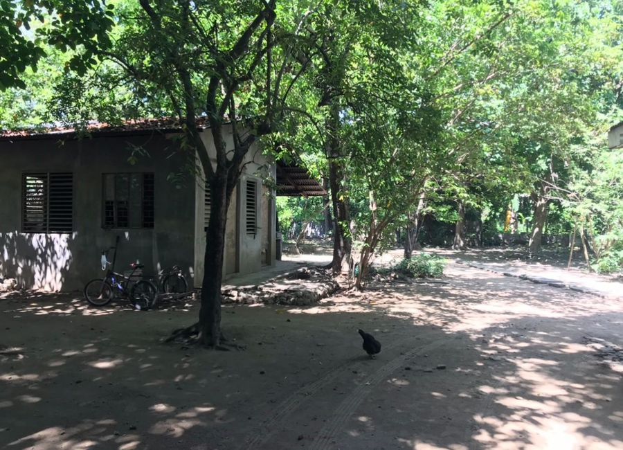 place photo 8