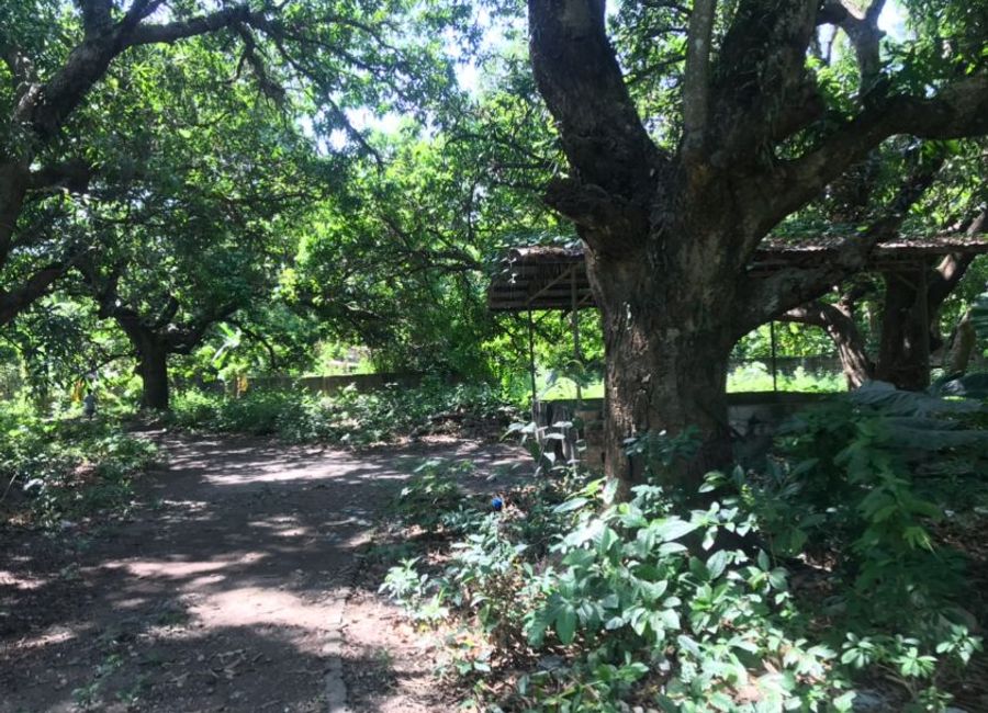 place photo 10