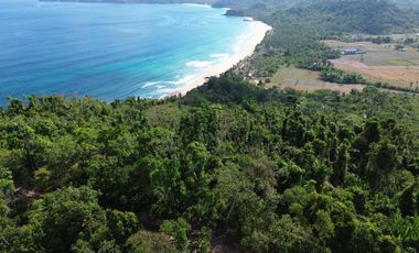 Investment opportunity adjacent to one of Palawan's most stunning beaches.