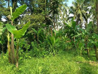 Yellow Zone Land with Jungle Views 20 Minutes from Central Ubud Bali
