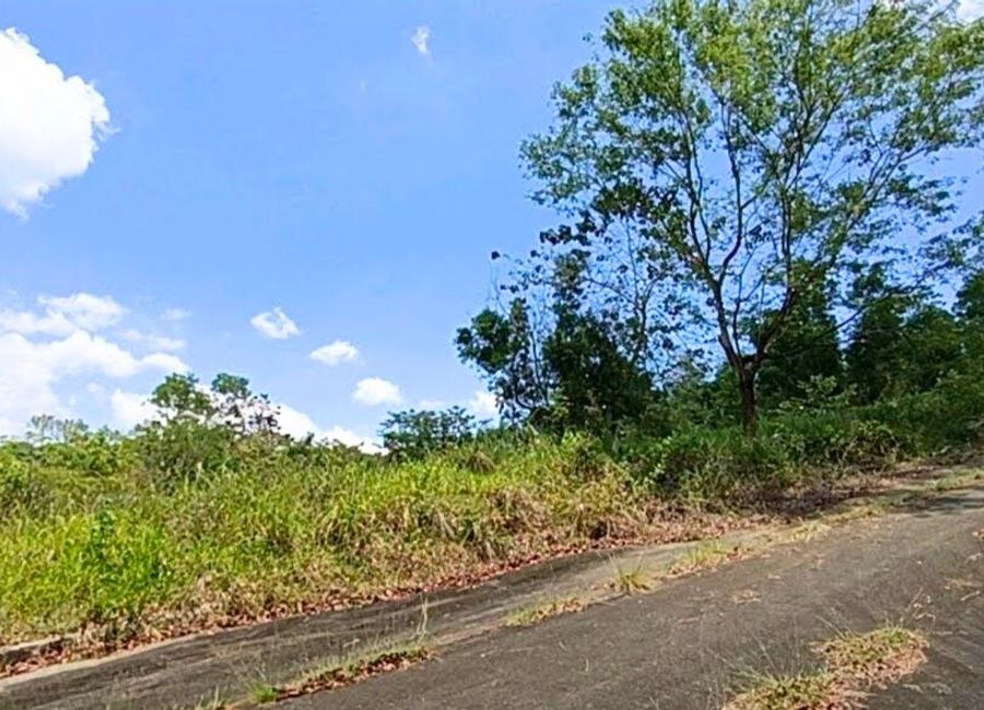 Forest Hills Avenue, Lower Tulakin, Bagong Nayon, Antipolo, Rizal