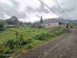 Tanah Zona Pink 50 meter dari Jalan Kebun Raya Bedugul Bali