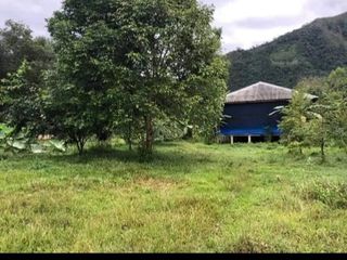 Strategically productive land for sale in Payakumbuh, West Sumatra.indonesia