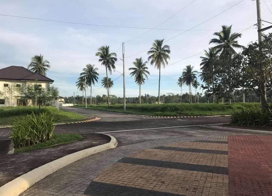 Santa Elena, San Pablo, Laguna image 3