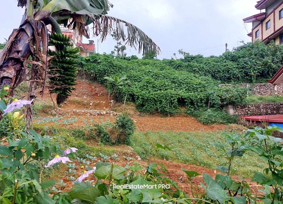 1000sq.m Residential Lot for Sale in Foggy Hills, Baguio City! | Lamudi.com.ph