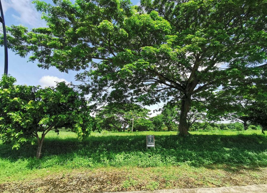Luscara, Canlubang, Calamba, Laguna image 3