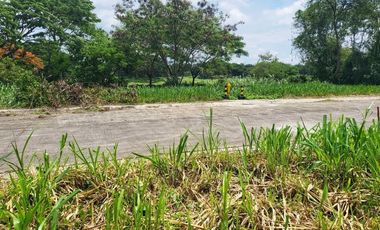 Best Buy Lot For Sale In Manila Southwoods - Phase 3