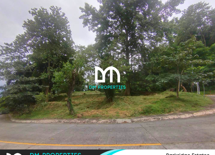 Parkridge Drive, Park Ridge, Santa Cruz, Antipolo, Rizal
