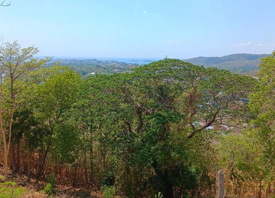 Nasugbu Road, Natipuan, Nasugbu, Batangas image 2