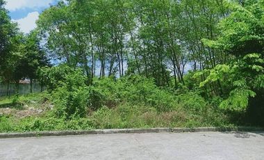 Residential lot Heritage Mandaue