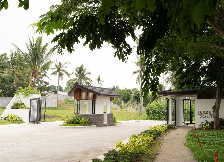 Terreno South