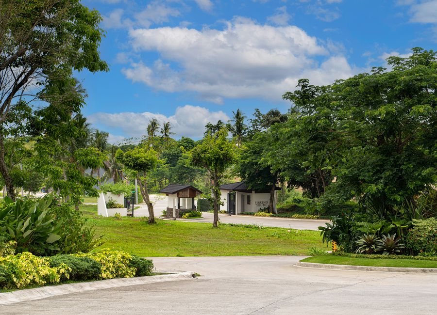 Terreno South