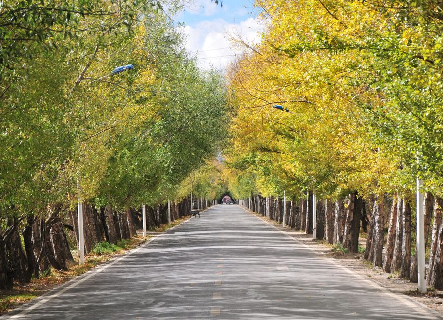 Arden Botanical Village
